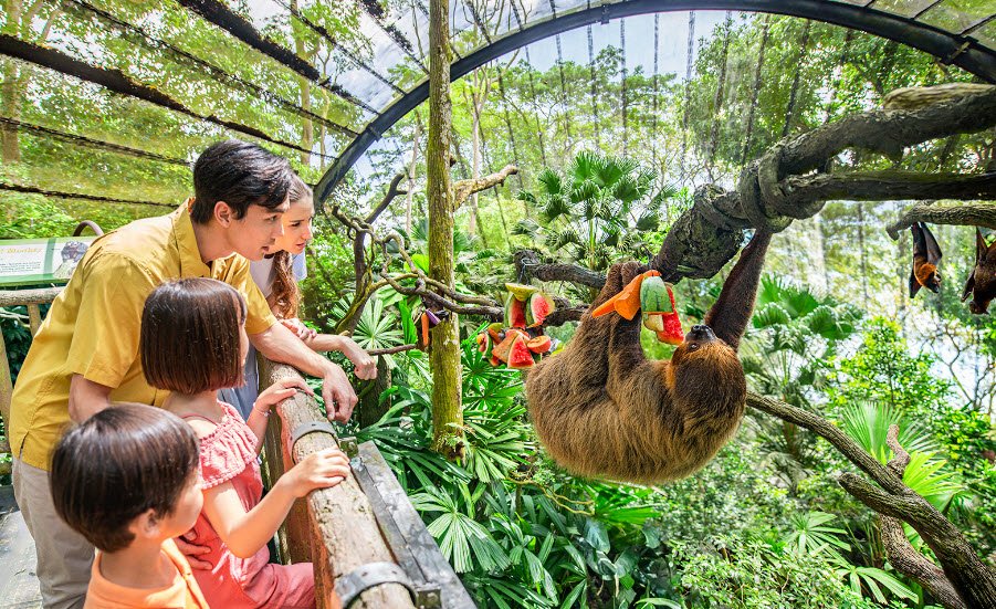 Singapore Zoo, Mandai, Singapore